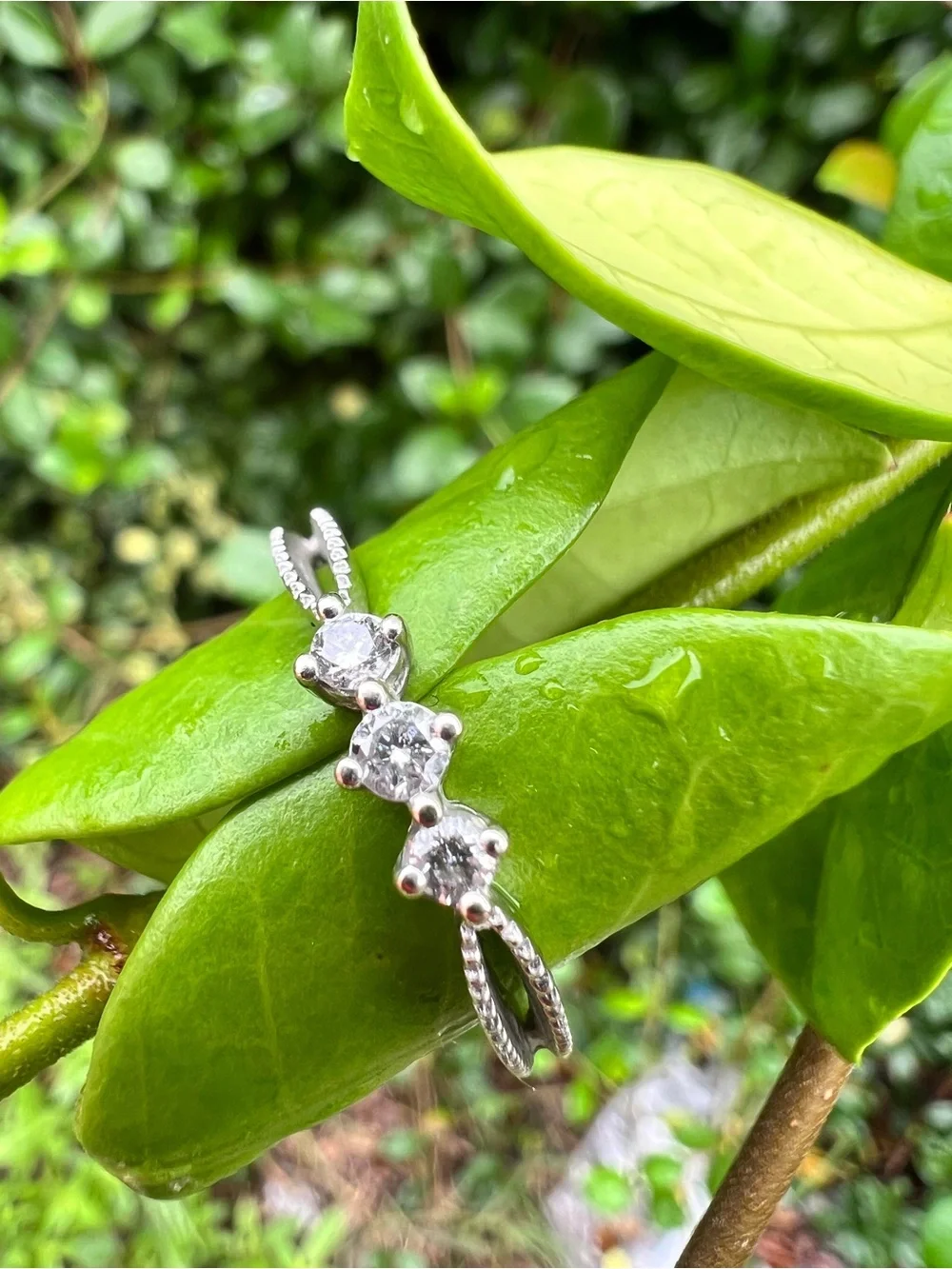 White gold natural diamond three stone ring.
